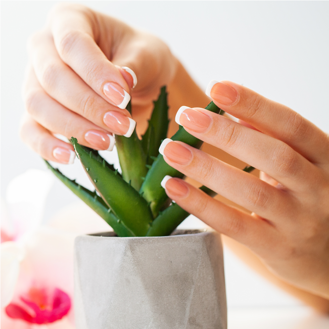 TROPICAL-NAILS-&-SPA-47421-gallery-07